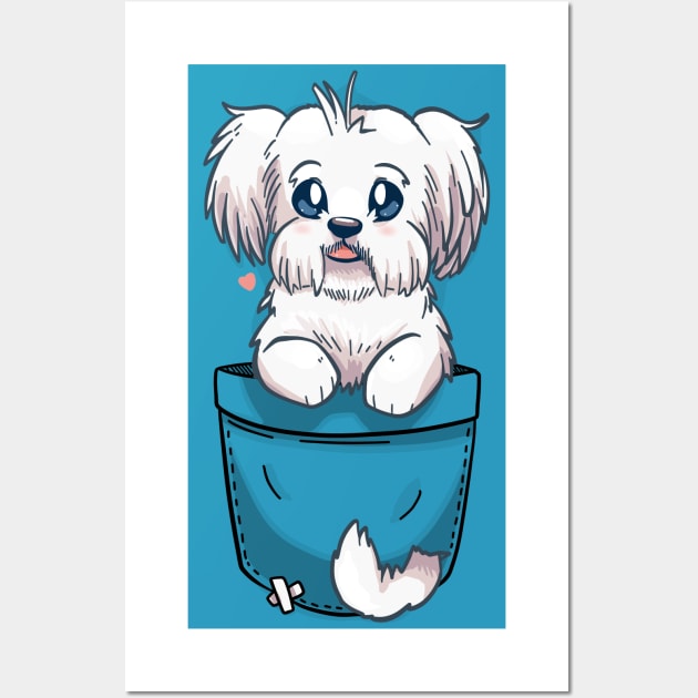 Maltese pocket dog sale